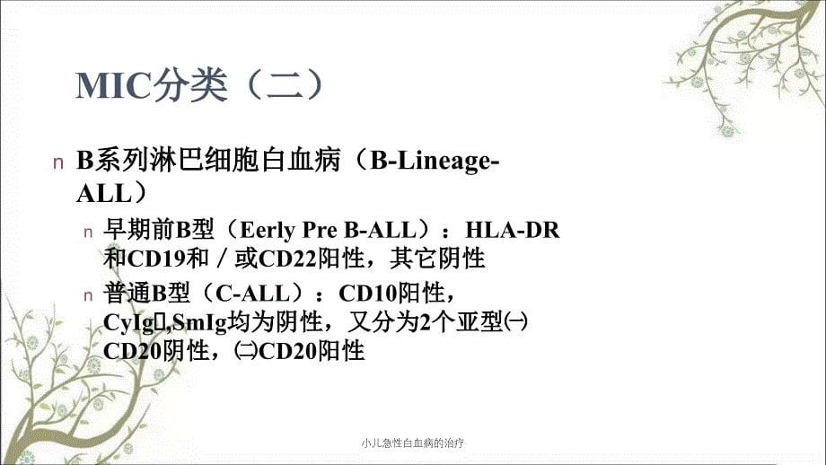 小儿急性白血病的治疗_第5页