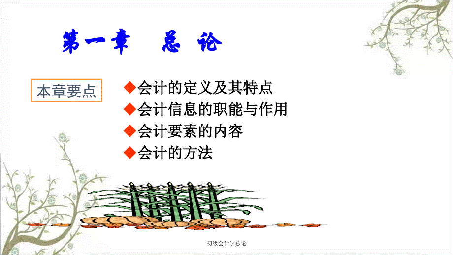 初级会计学总论课件_第1页