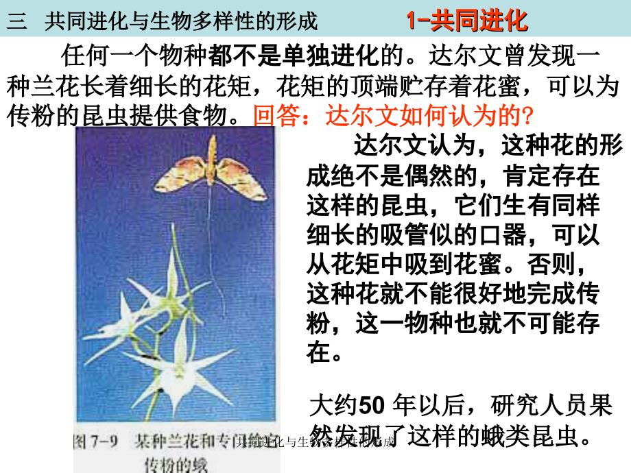 共同进化与生物多样性的形成课件_第1页