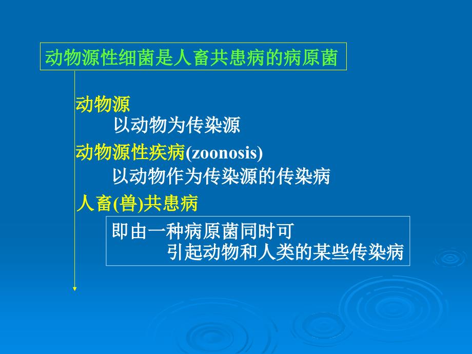 《医学微生物学》教学课件：第十一章动物源性细菌_第2页