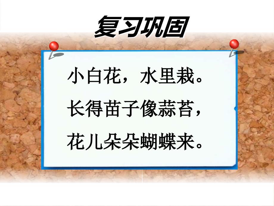 2015年秋三年级第十三课《一张照片的回忆》_第2页