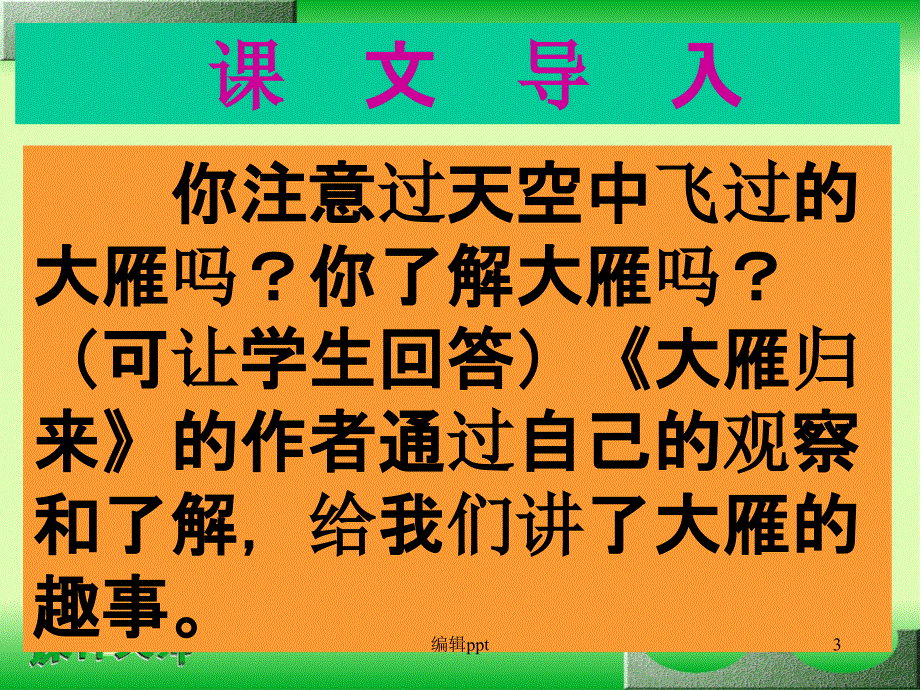 八年级大雁归来_第3页