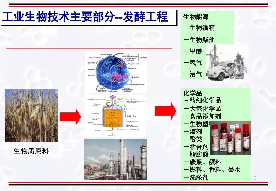 发酵工程的研究状况和进展课件_第3页