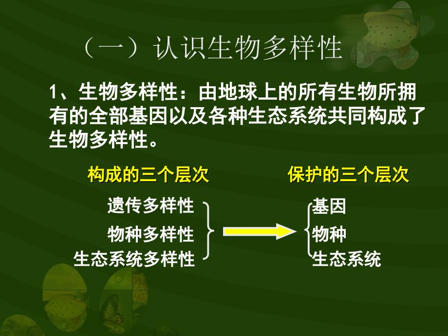 《生物多样性》PPT课件_第3页