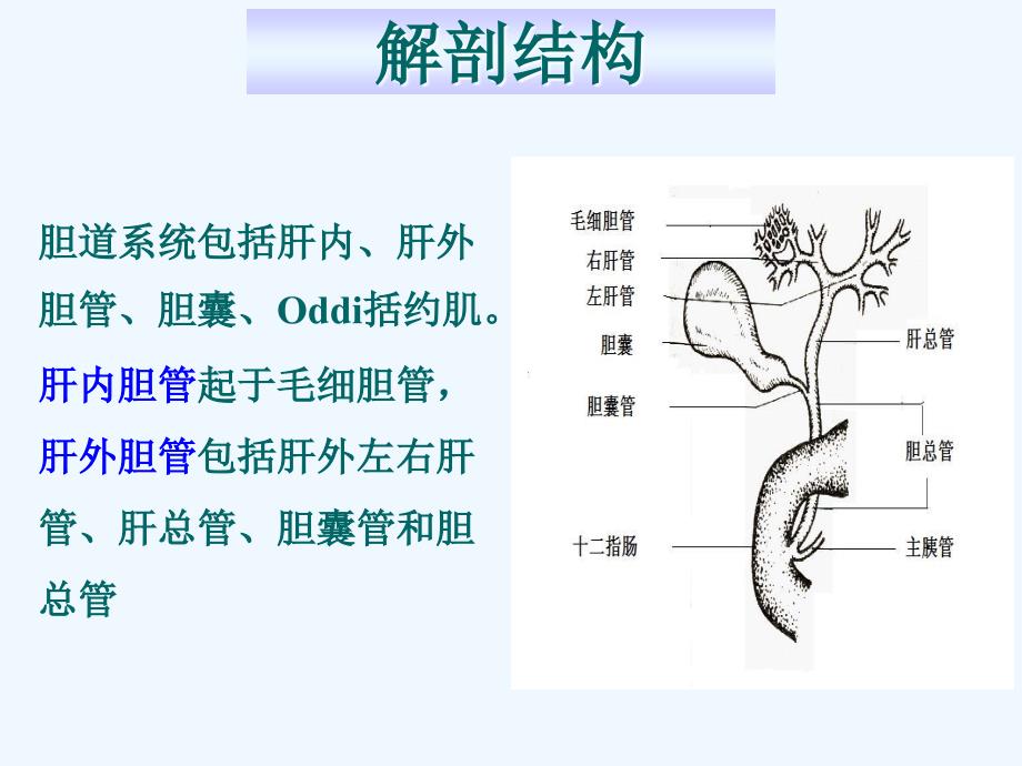 胆道疾病病人护理课件_第4页