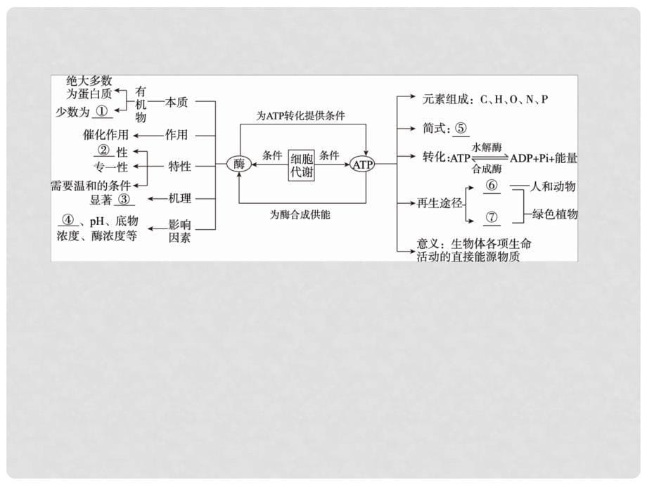 高三生物二轮复习 专题二 细胞的代谢 1.2.1 酶和ATP课件 新人教版_第5页