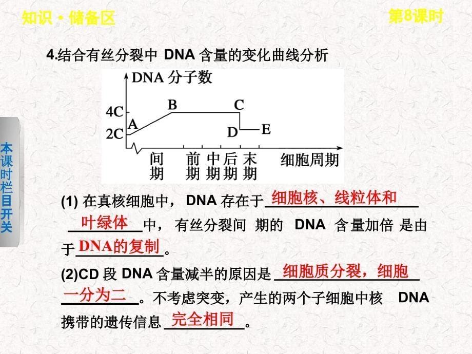 高中生物31遗传信息的复制课件北师大版必修2_第5页