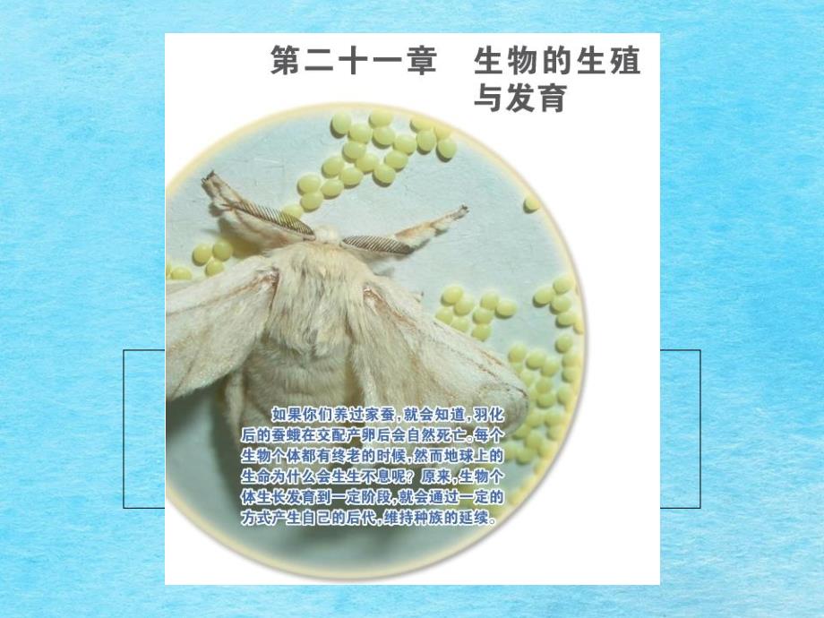 苏教版生物的无性生殖jppt课件_第1页