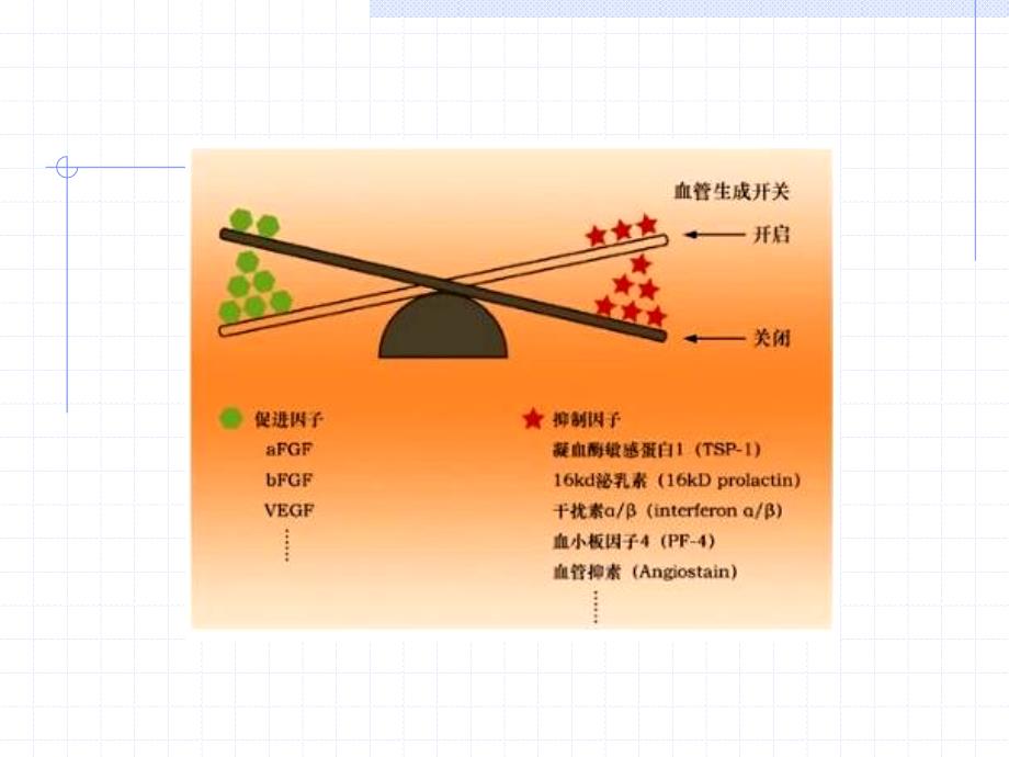 血管生成与肿瘤_第4页