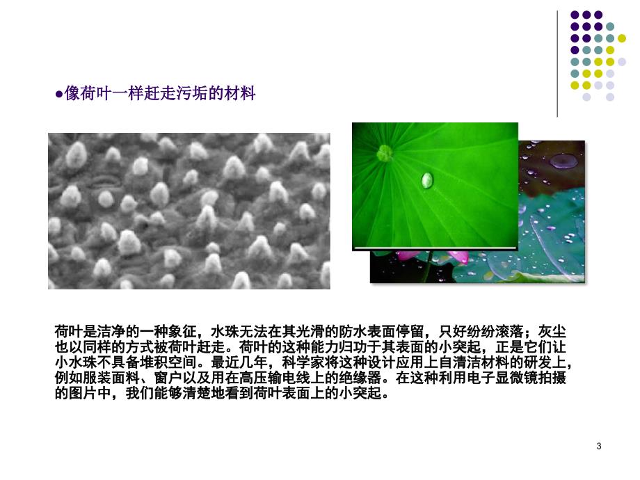 仿生设计赏析PPT_第3页