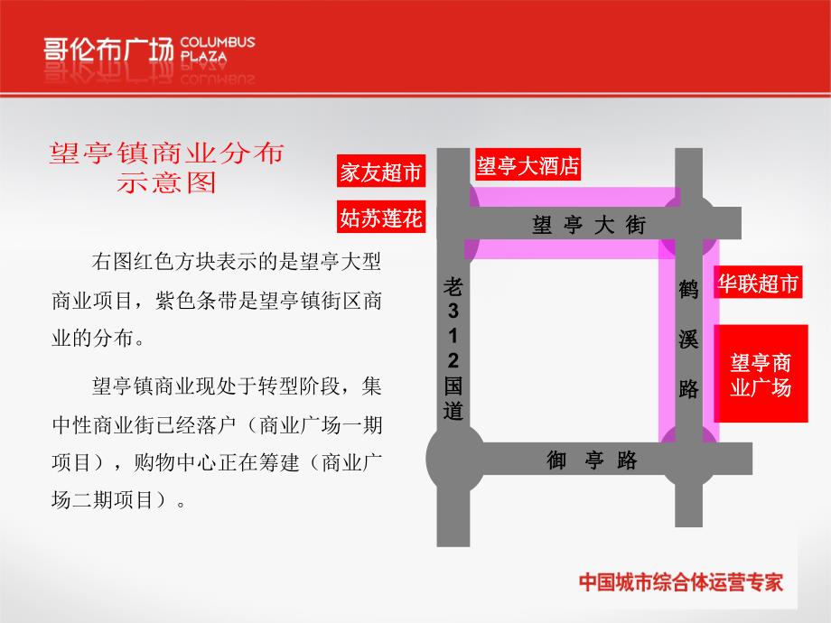 江苏省苏州市望亭、东桥市场调查报告（17页）_第1页