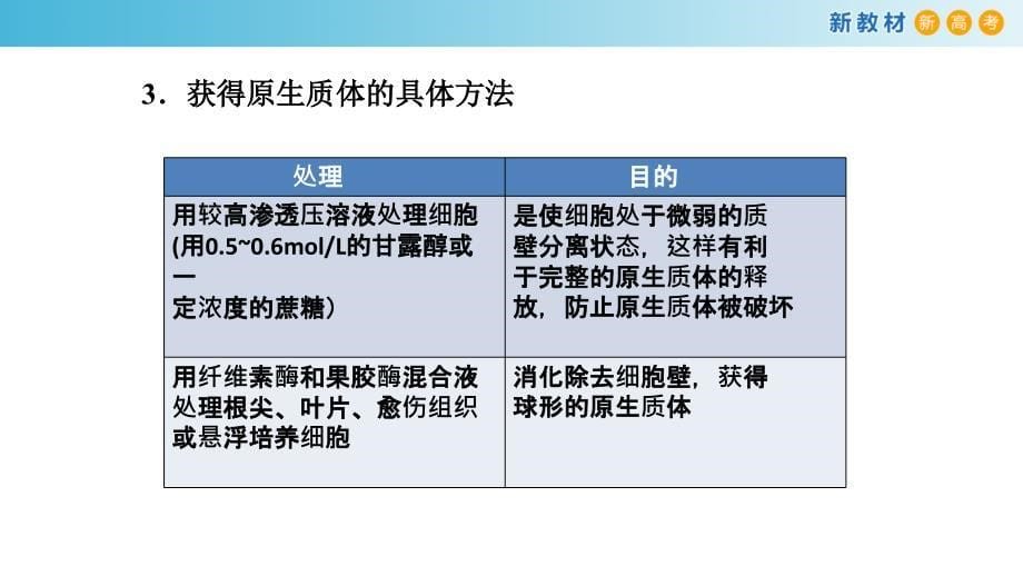 2.2 通过体细胞杂交可获得新的植物体-2021-2022学年高二生物 课件（2019浙科版选择性必修3）_第5页