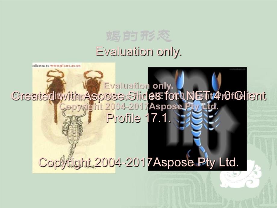 《蝎的养殖技术讲座》PPT课件_第1页