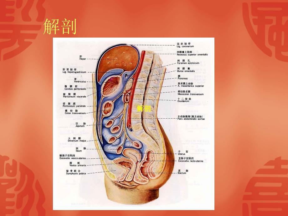 急性腹膜炎病人的护理.ppt_第3页