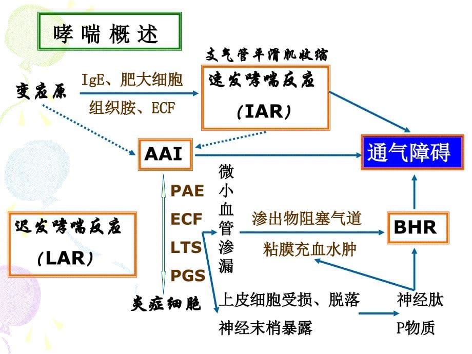 第052 作用于呼吸系统药物_第5页