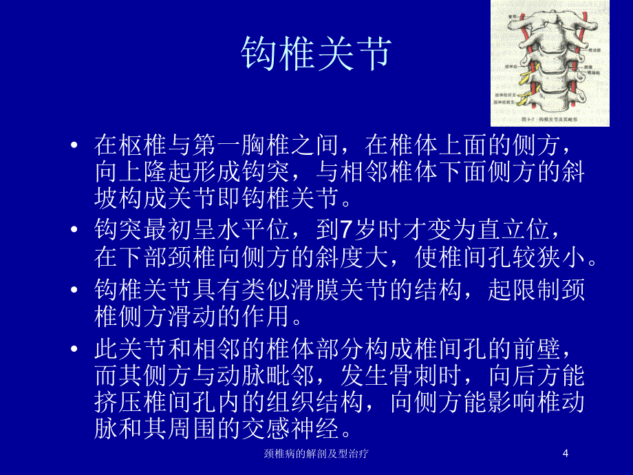 颈椎病的解剖及型治疗培训课件_第4页