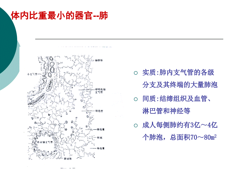 富露施幻灯片改PPT课件_第2页