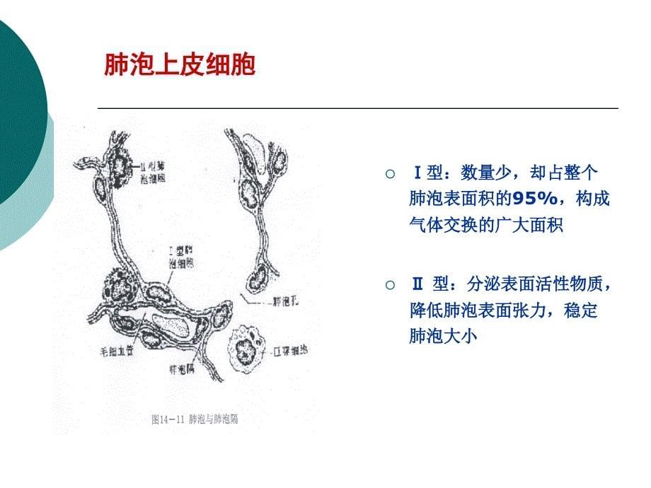 富露施幻灯片改PPT课件_第5页