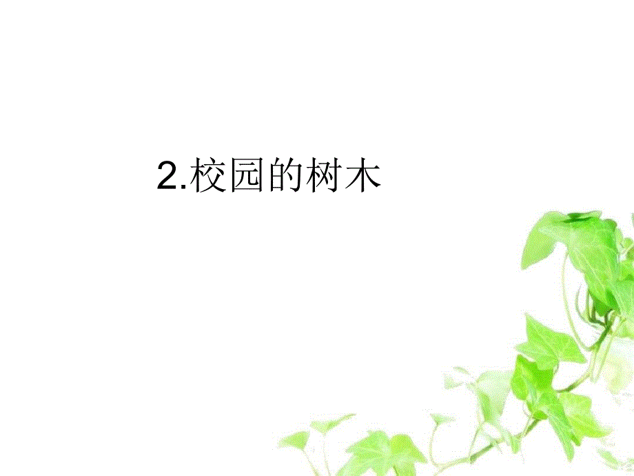 三年级科学上册1.2校园的树木课件3教科版教科版小学三年级上册自然科学课件_第1页