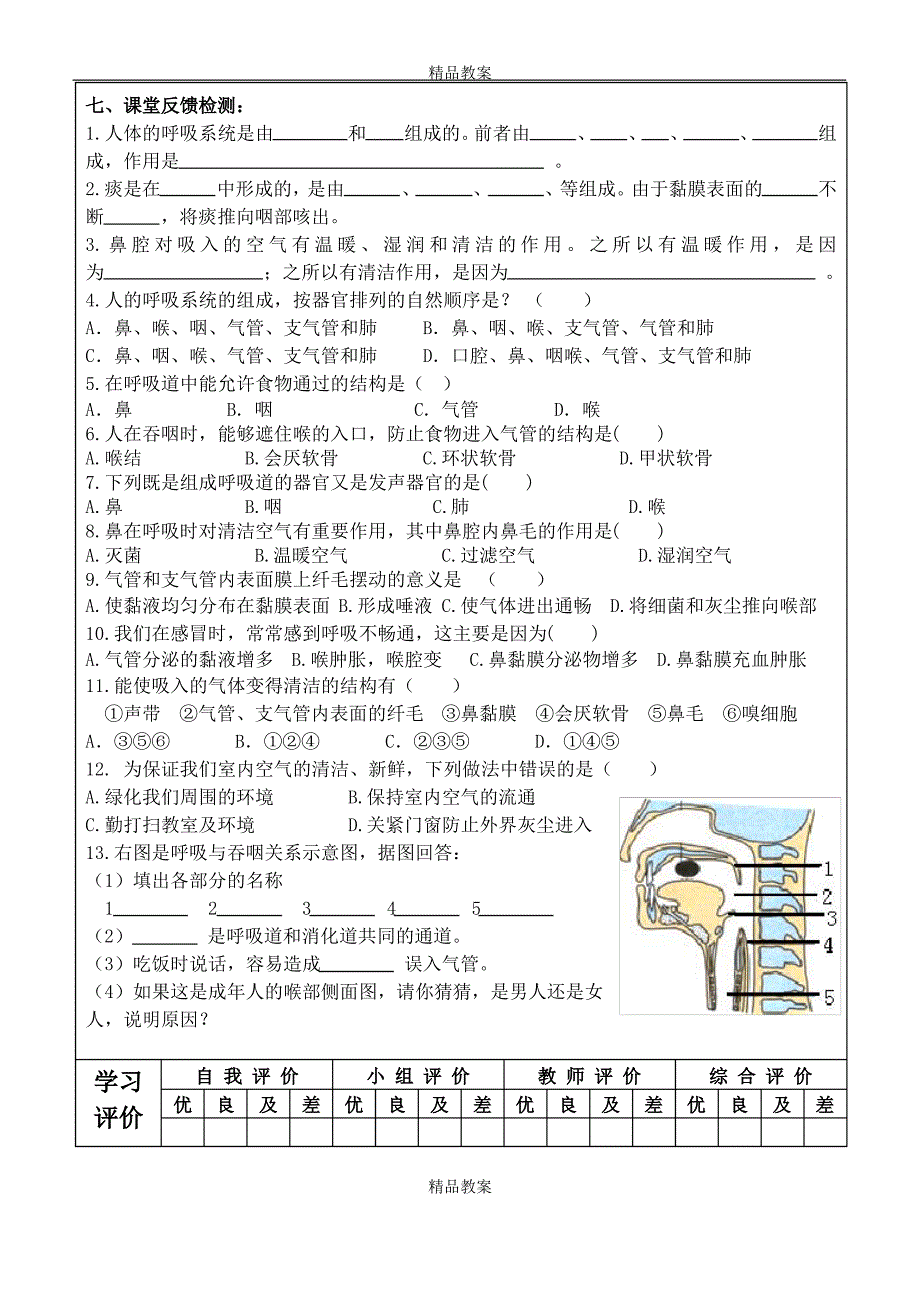 2021人教版七年级下册生物学导学案：呼吸道对空气的处理_第2页