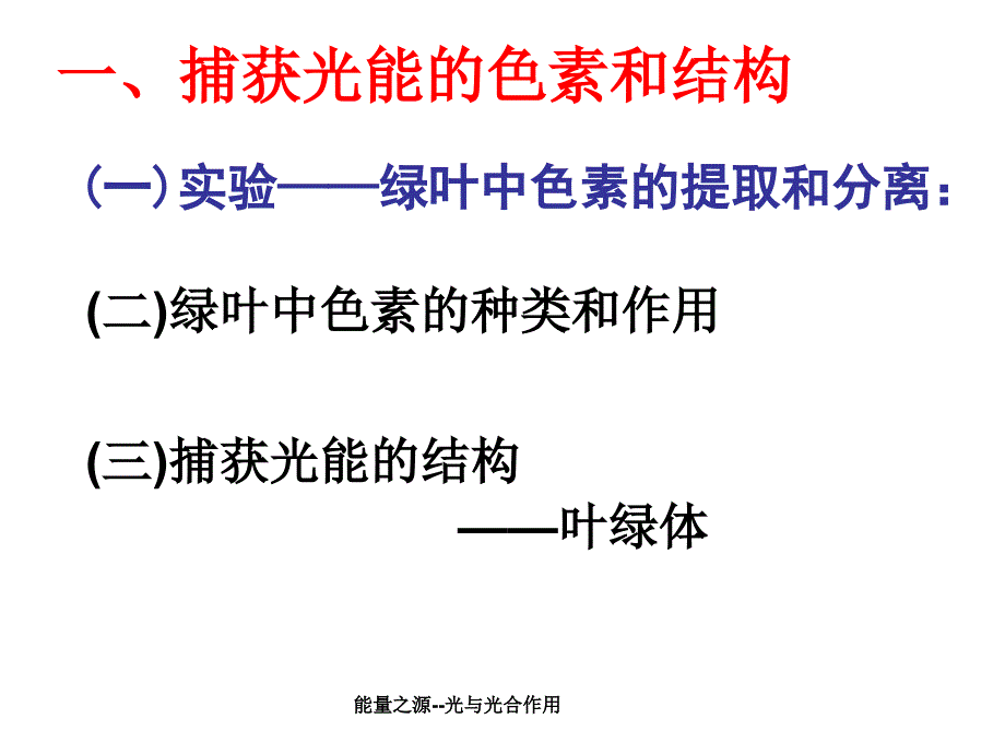 能量之源光与光合作用课件_第4页