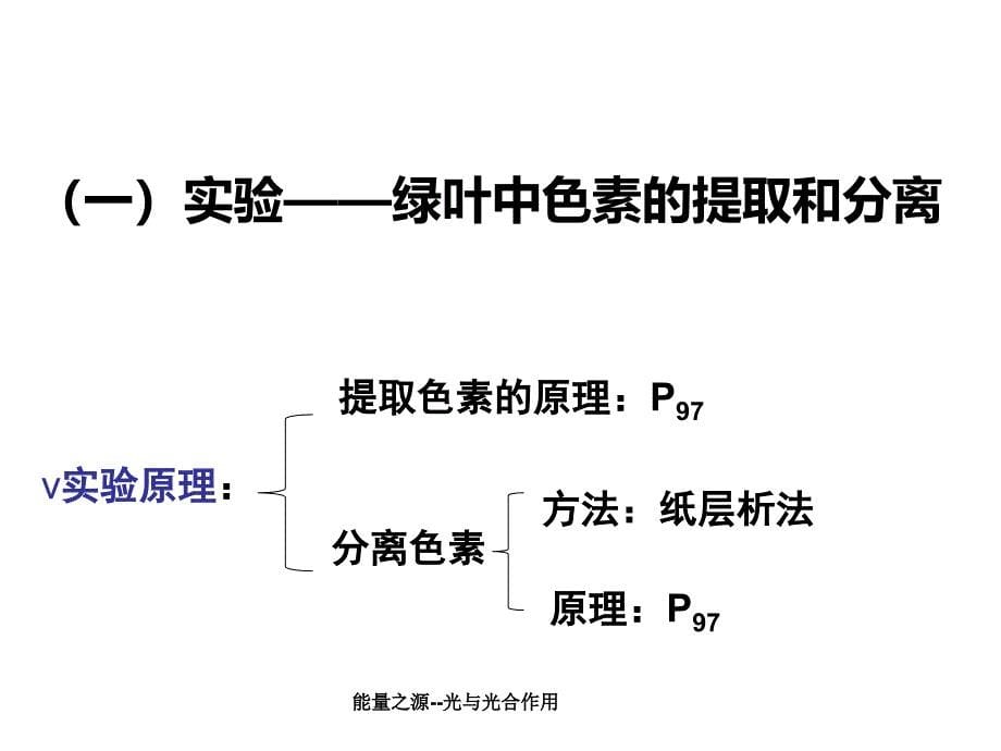 能量之源光与光合作用课件_第5页