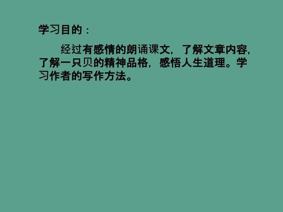 四年级上语文一只贝语文S版ppt课件_第5页