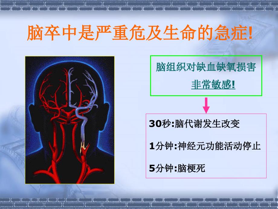 急性脑梗死静脉溶栓的护理课件_第3页