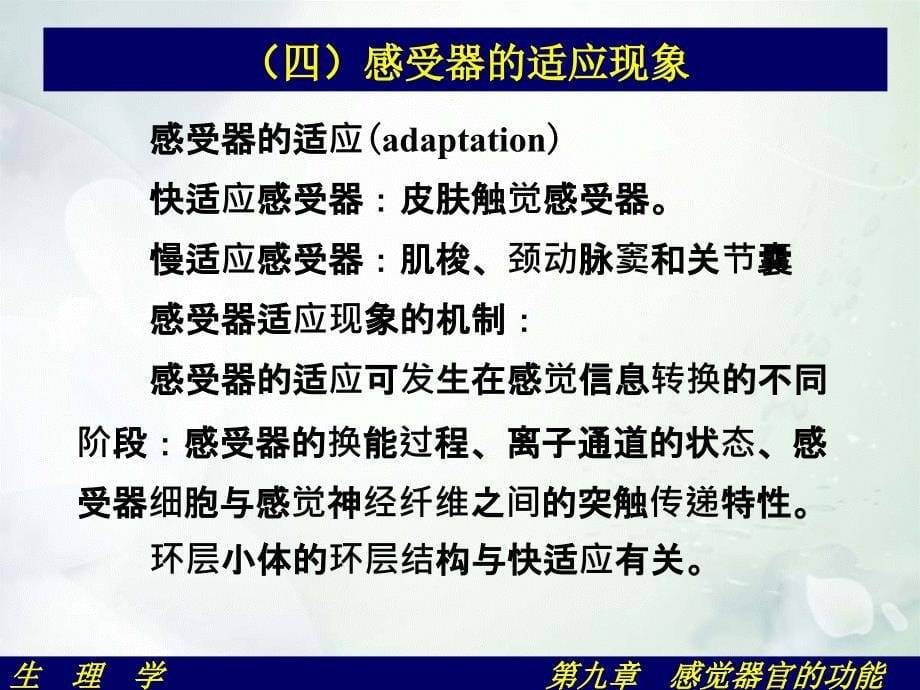 生理学第九章感觉器官的功能_第5页