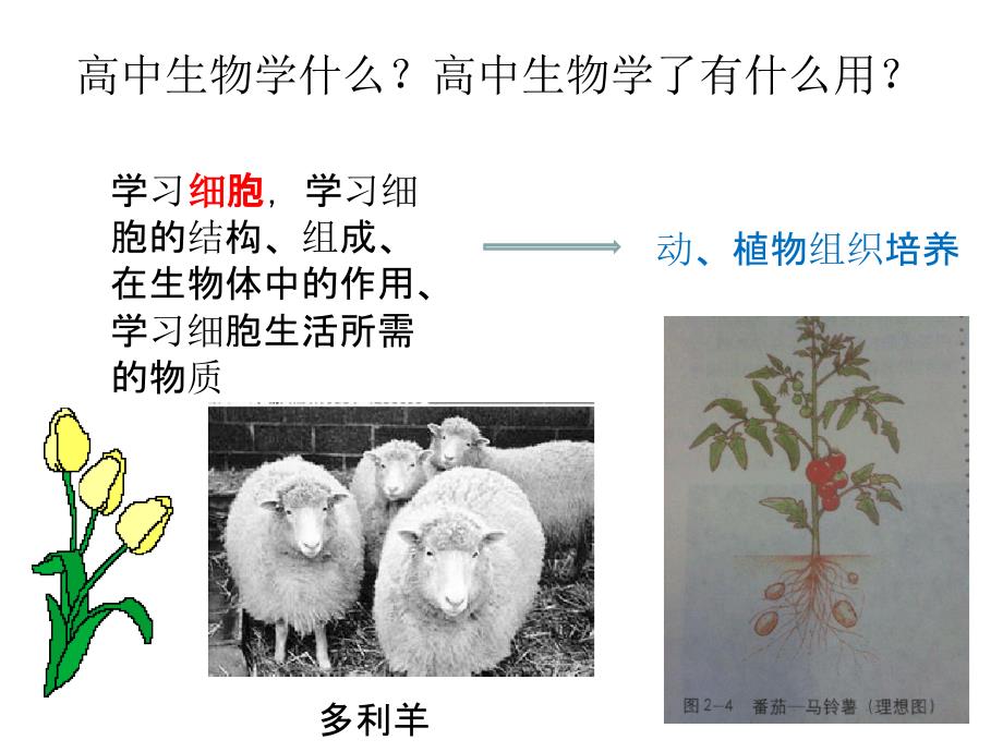 人教版高中生物必修一第一章课件_第2页