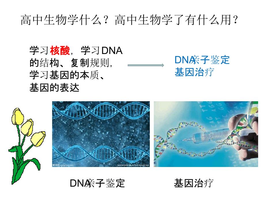 人教版高中生物必修一第一章课件_第3页