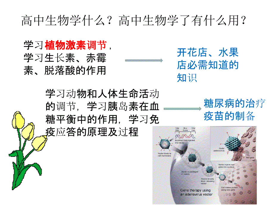 人教版高中生物必修一第一章课件_第4页