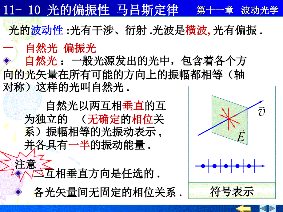 光的偏振马吕斯定律_第1页