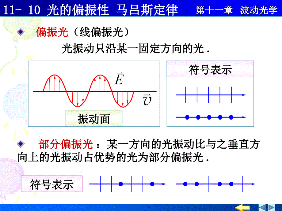 光的偏振马吕斯定律_第2页