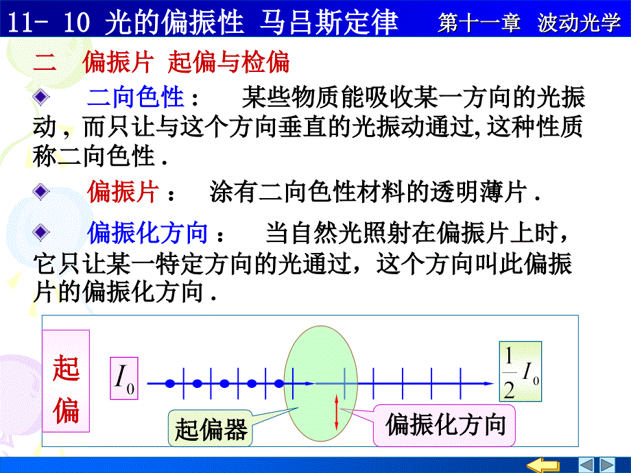 光的偏振马吕斯定律_第3页