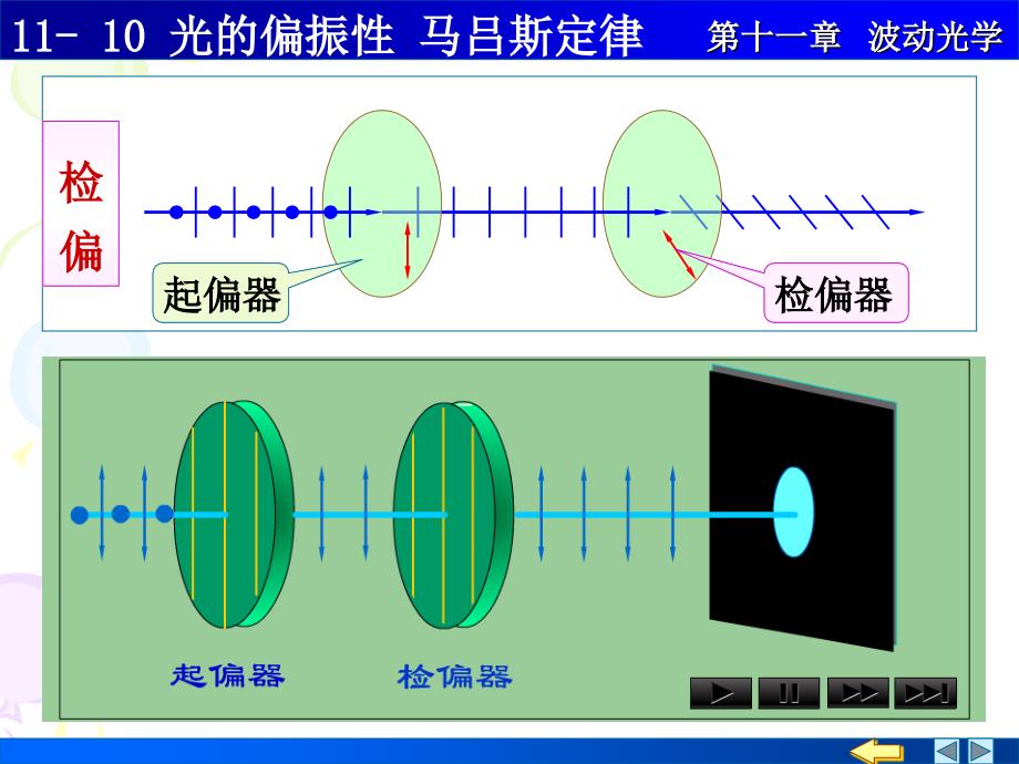 光的偏振马吕斯定律_第4页