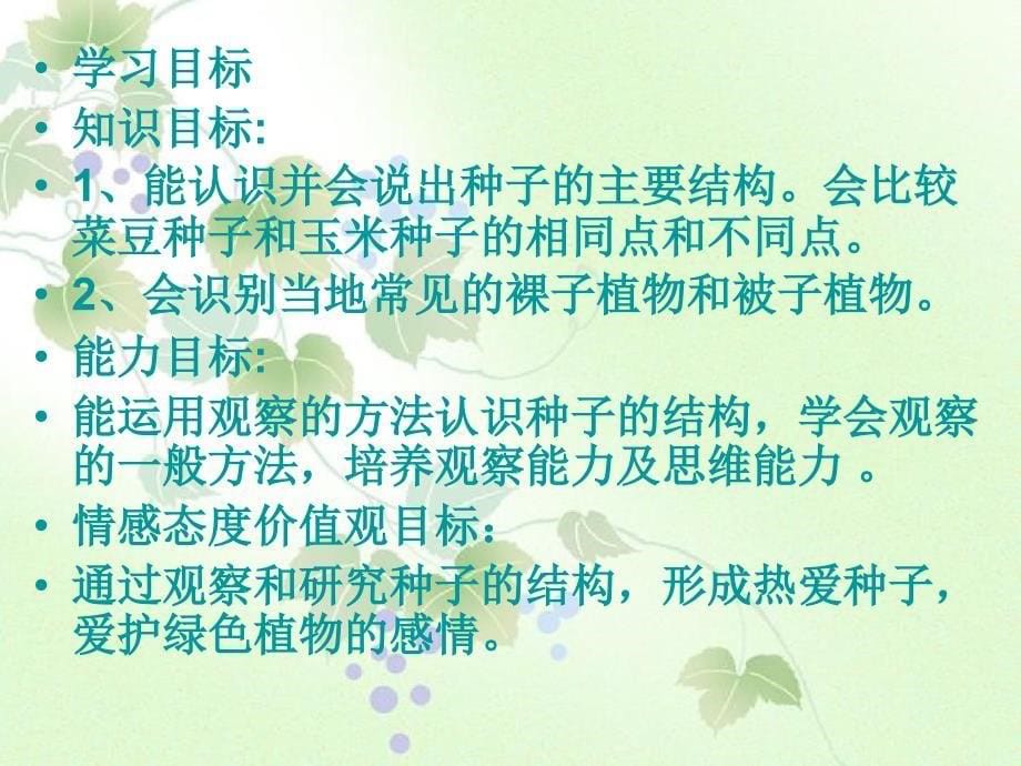 七年级生物上册第二章第二节种子植物课件人教新课标版课件_第5页