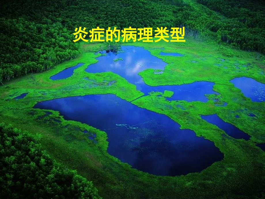 病理学第四分章 炎症3 08_第1页