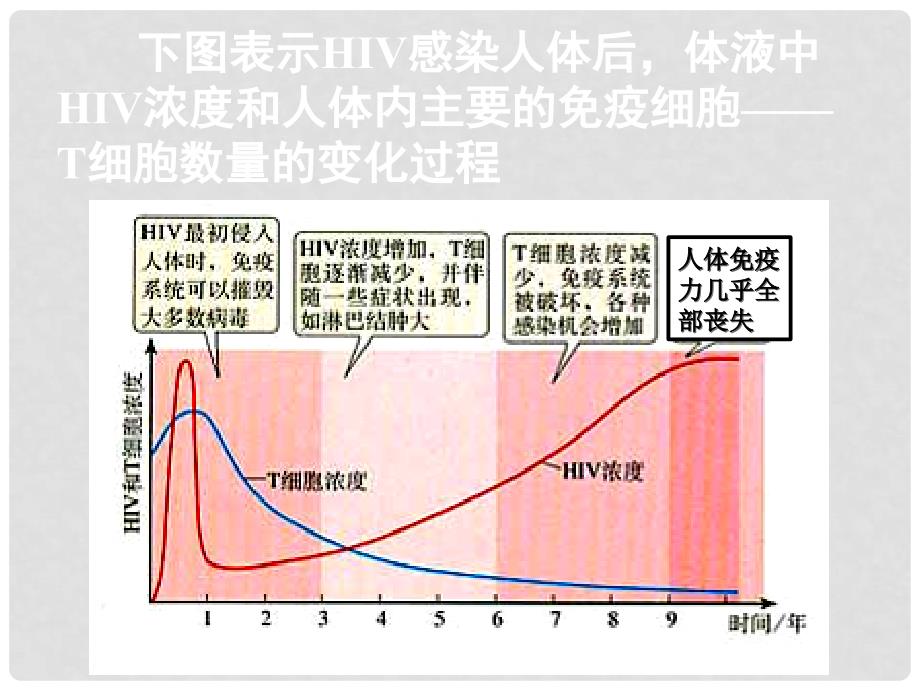 湖南省长郡中学高中生物 第二章 第四节 免疫调节（二）课件 新人教版必修3_第2页