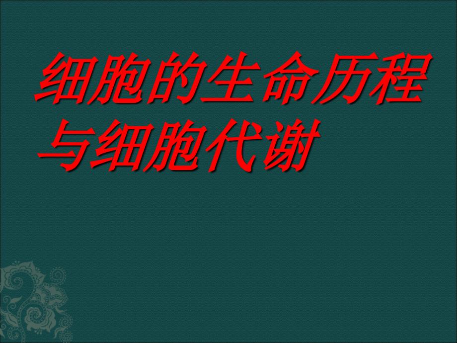 细胞的增殖与分化.ppt_第1页