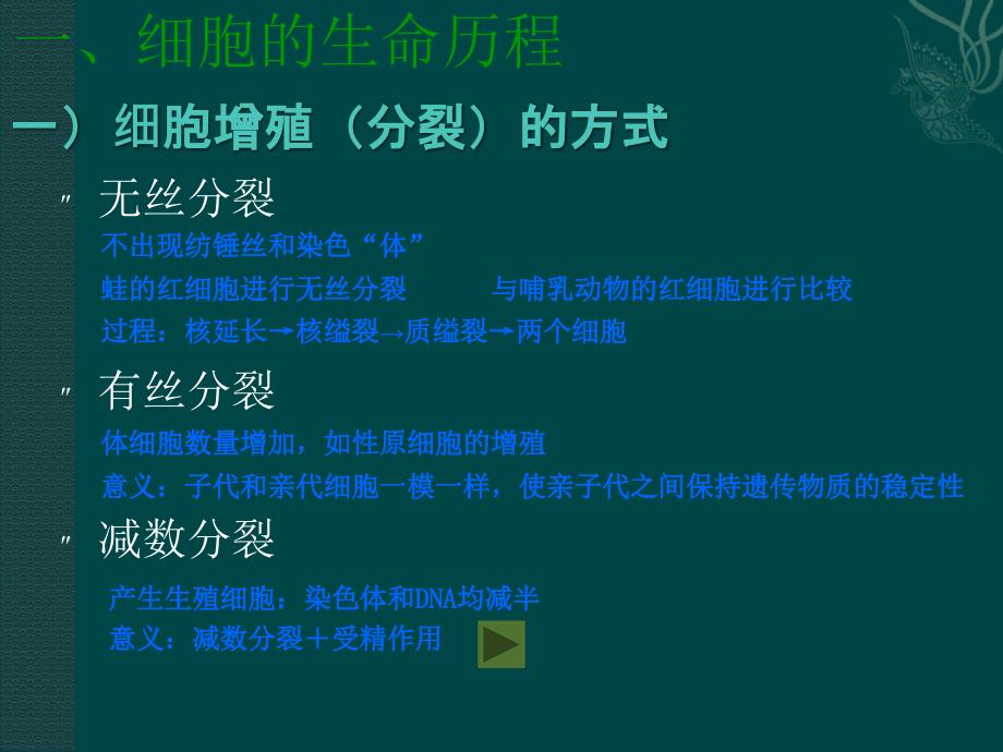 细胞的增殖与分化.ppt_第3页