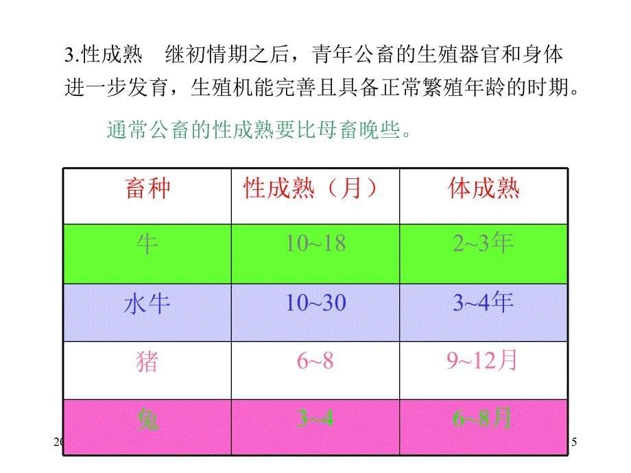 解剖学部分公畜的生殖和母畜的生殖_第5页