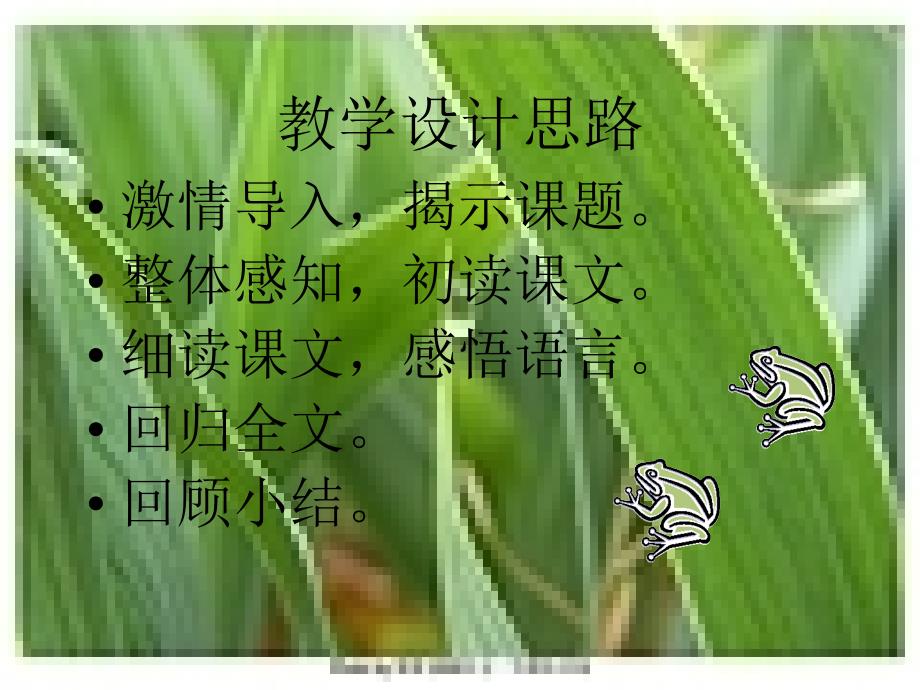 小露珠教学课件_第4页