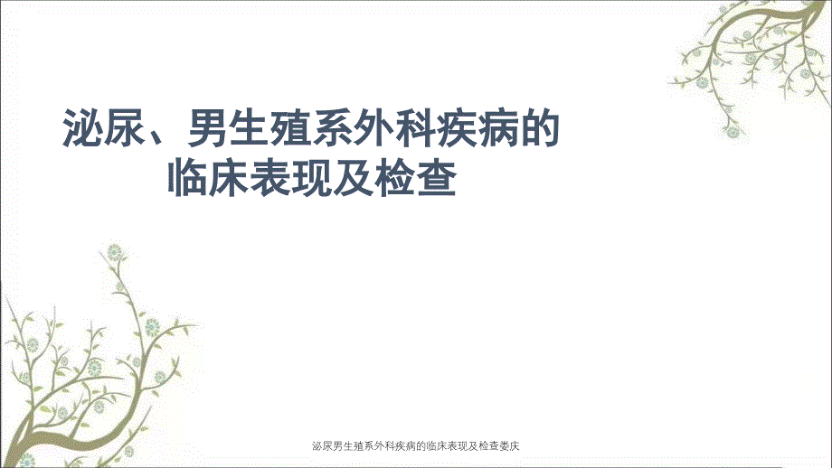 泌尿男生殖系外科疾病的临床表现及检查娄庆课件_第1页