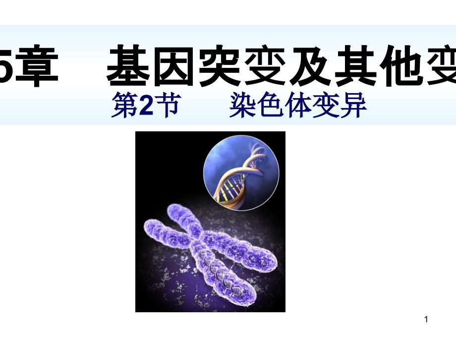 染色体变异上课_第1页