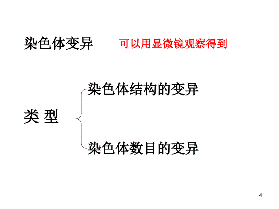 染色体变异上课_第4页