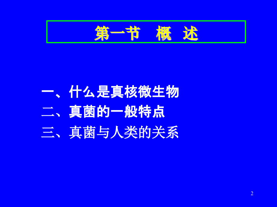 coyp第三章真核微生物_第2页