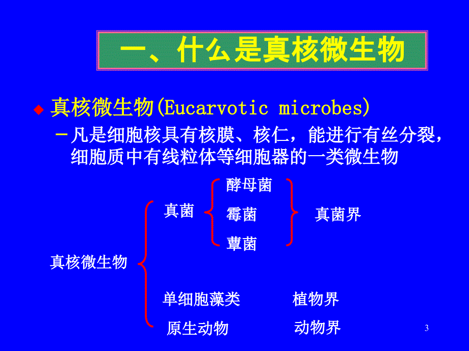 coyp第三章真核微生物_第3页