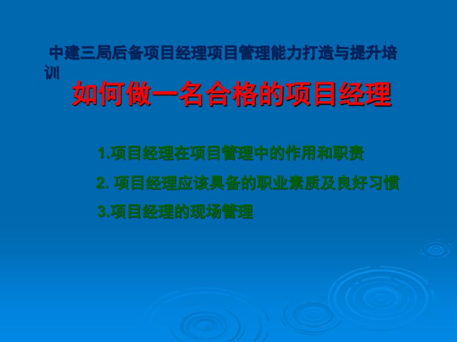 如何做好一名优秀的项目经理_第1页