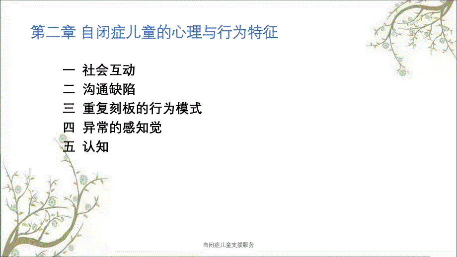 自闭症儿童支援服务_第1页